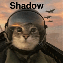 a cat wearing a helmet and goggles with the word shadow written above it