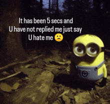 a picture of a minion with a caption that says it has been 5 secs and u have not replied me