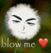 a dandelion with a face on it and the words `` blow me '' .