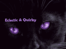 Sam Butters Purple Cat GIF
