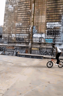 a man riding a bike in front of a wall that has graffiti on it including the word regal