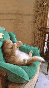 a cat is laying on a green chair playing with a bottle