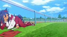 a person laying on a grassy field with a flag