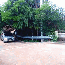 Bamboo Truck GIF - Bamboo Truck Accident GIFs