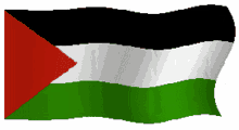 flag palestine