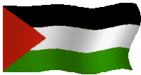 Palestine Flag Sticker - Palestine Flag Stickers