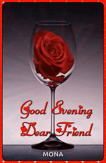 a red rose in a wine glass that says good evening dear friend mona
