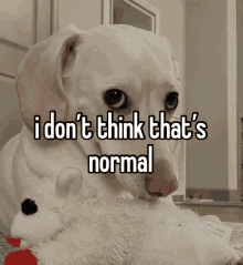 Not Normal GIF - Not Normal Gif GIFs
