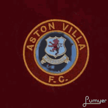 Aston Villa GIF - Aston Villa GIFs