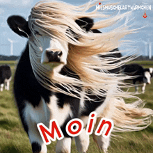Hello Moin Moin GIF - Hello Moin Moin Moin Servus Moin GIFs
