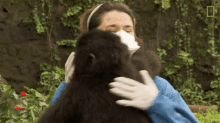 Hugging Protecting Orphaned Gorillas GIF