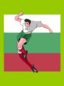 Bulgaria Flag GIF - Bulgaria Flag Soccer GIFs