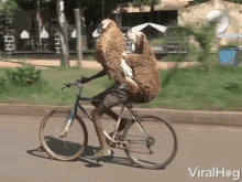 Delivery Animals GIF