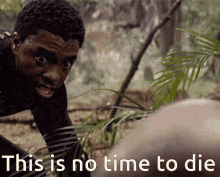 Black Panther This Is No Time To Die GIF - Black Panther This Is No Time To Die Fade Away GIFs