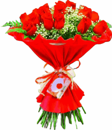 rosas rosas