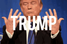 Trump Is Toast Trump GIF - Trump Is Toast Trump GIFs