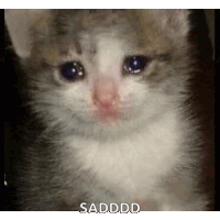 a close up of a sad cat with a caption that says sadddd