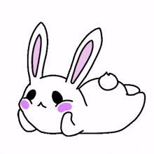 rabbit bunny white lovely lie down