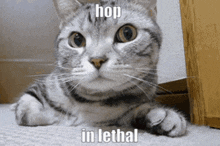 Lethal Company Hop On Lethal GIF - Lethal Company Hop On Lethal Hop On Lethal Company GIFs