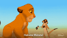 Hakuna Matata What A Wonderful Phrase Simba GIF