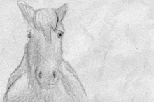 Tomascore Horse GIF