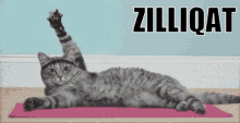 Zilliqa Zil GIF - Zilliqa Zil Zilliqat GIFs