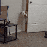 a dog is peeking out of a door in a living room