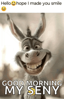 a picture of a donkey smiling with the words good morning my seny below it
