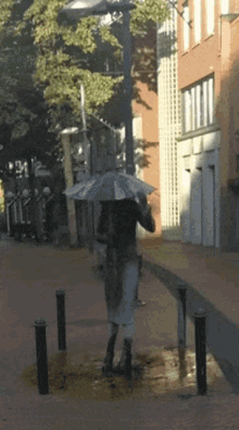 Rain Brolly GIF - Rain Brolly Umbrella GIFs