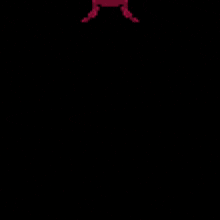 a pixel art of a red bug with a black background