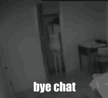 Bye Bye Chat GIF