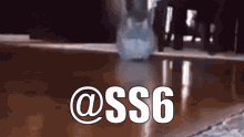 Cat Ssb GIF - Cat Ssb GIFs
