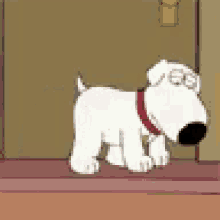 Family Guy Dog GIF - Family Guy Dog GIFs