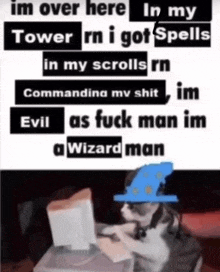 Wizard Cat GIF - Wizard Cat Stroking GIFs