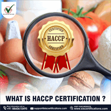 Haccp Certification GIF - Haccp Certification GIFs