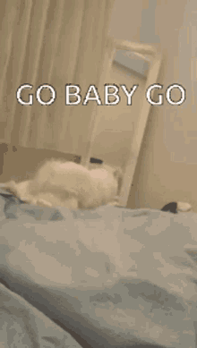 Go Baby Go Funny Dog GIF - Go Baby Go Funny Dog Sex GIFs