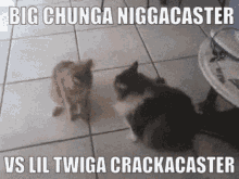 Big Chunga Niggacaster Lil Twiga Crackacaster GIF - Big Chunga Niggacaster Lil Twiga Crackacaster Kitty GIFs