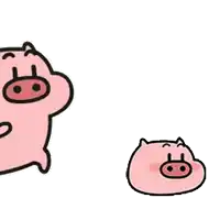 a couple of pigs are standing next to each other on a white background .