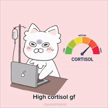 a cartoon of a cat sitting in front of a laptop with the words high cortisol gf