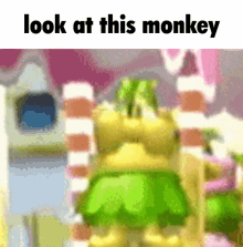 Look At This Monkey The Clapster GIF