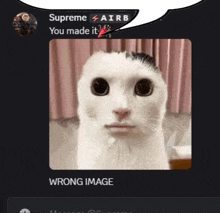 a picture of a cat with the caption " wrong image "