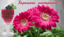 настроения цветы GIF - настроения цветы бокал GIFs