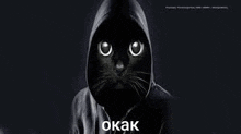 a black cat wearing a hoodie with a hood on its head is looking at the camera .