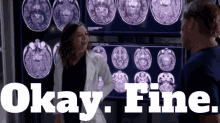 Greys Anatomy Amelia Shepherd GIF - Greys Anatomy Amelia Shepherd Okay Fine GIFs