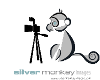 a silver monkey images logo with a monkey taking a picture with a camera