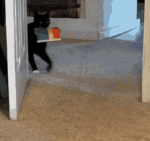 GIF