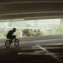 Bicycle Trick Nigel Sylvester GIF - Bicycle Trick Nigel Sylvester Im Coming GIFs