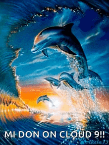 Dolphins Wave GIF - Dolphins Wave Ocean GIFs