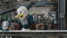 Philadelphia Eagles Eagles GIF - Philadelphia Eagles Eagles Swoop GIFs