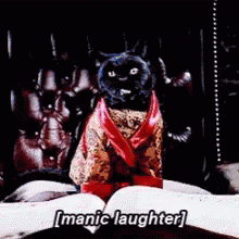 Cat Manic Laughter GIF - Cat Manic Laughter Salem GIFs